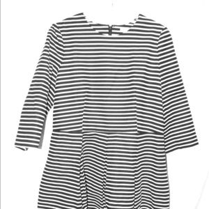 Gap Fit and flare dress